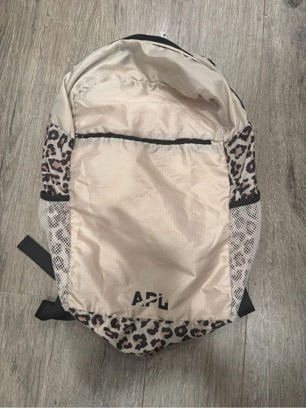 the APL Athletic Propulsion Labs All-Purpose Packable Backpack